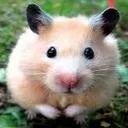 StickyHamster (now TheJugglingHamster)