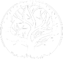 Collective Conscious - Destiny 2 icon
