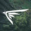 The Hawkes Nest