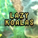Lazy Koalas