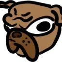 what the pug?!