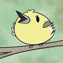 The Birbhouse