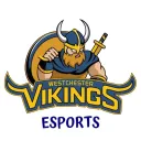 WCC Vikings Esports!
