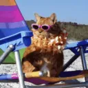 Hangout Beach