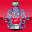 Detroit Red Wings icon