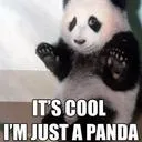 🐼 The Panda Pen 🐼