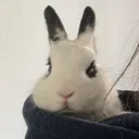MHLoppy