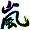Arashi Fans