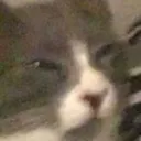 discord.gg/awesome Discord Server Icon