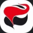 Radicool Socialist Party