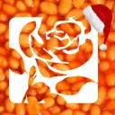 MHOC Beans Labour