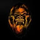 Team Enraged