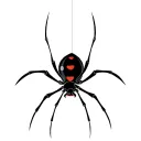 Spider Wars