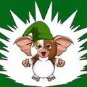 L'Antre de Link