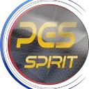 pes-spirit.com