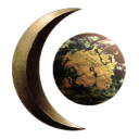 TES3MP icon