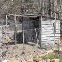 The Loafing Shed