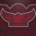 Hawke's Platoon