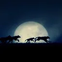 The Wolven Realms