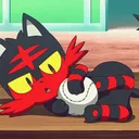 Cinderkit's Hangout