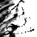 Haven of Black & White