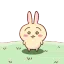 ʕ •̀ o •́ ʔ