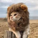 TheKingdom
