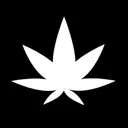 IamDaPoPo