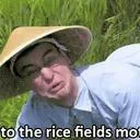 WELCOME TO THE RICE FIELDS