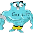 Go Lift