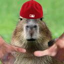 Capybara Crew Discord Server Icon