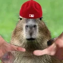 Capybara Crew Discord Server Icon