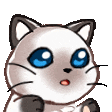 Sayvi | Erika icon