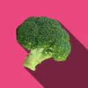 The Broccoli Garden