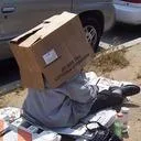 Hobo's Cardboard Box
