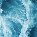 the ocean