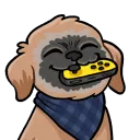 Goudey’s Discord
