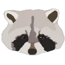Raccoon's Trash Can