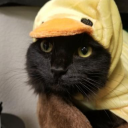 Willow's Pnada Paradice icon