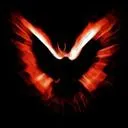 Phoenix Fire Guild