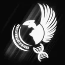 P.I | Phoenix International