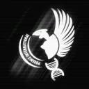 P.I | Phoenix International