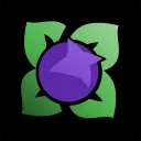 Elderberry Labs