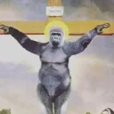 Gorilla's Pit