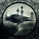 The Flock Server Icon