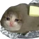 Catgirl Nation