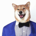 Spikeypup's Dog House Server Icon