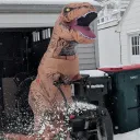 Minnesota Aftermath