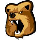 The Toast Bears Society Discord Server Icon