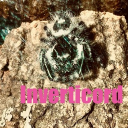 Inverticord